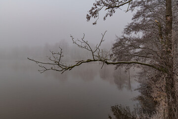 Frost und Nebel am See