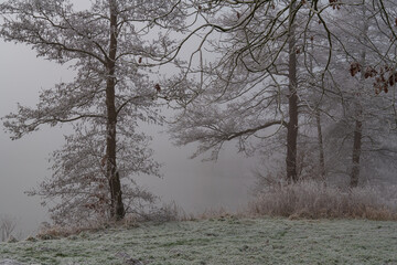 Frost und Nebel am See
