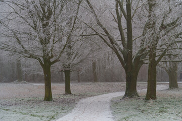 Frost und Nebel am See