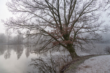 Frost und Nebel am See