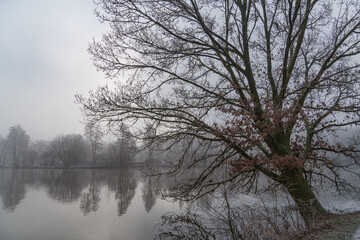 Frost und Nebel am See