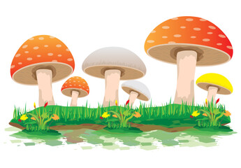 isolated mushrooms on white background vector design