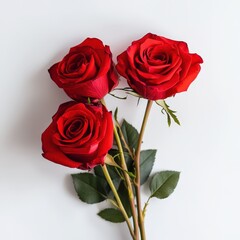 Three red roses are standing upright next to each other