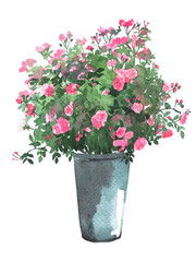 Vintage vase with beautiful flowers isolated on white. Aged flower contaner with plants. Old architecture decorations concept.