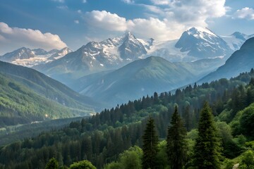 Fototapeta premium view from the top of the mountain