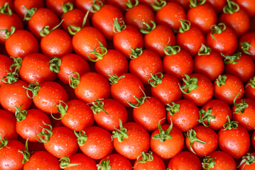ripe juicy red tomatoes with leaves