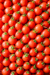 ripe juicy red tomatoes with leaves
