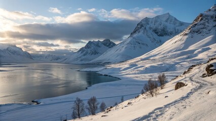 Winter Fjord Landscape High-Angle View of Snow-Covered Mountains and Frozen Water, Norway, Arctic Arctic landscape, winter scenery