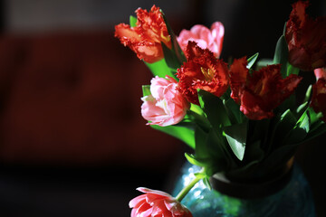Tulip flowers close-up in a vase. Mothers Day.