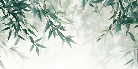 Fototapeta premium Serene Willow Branches: Delicate willow branches with their slender leaves create a tranquil and peaceful scene, casting soft shadows on a subtly textured background.