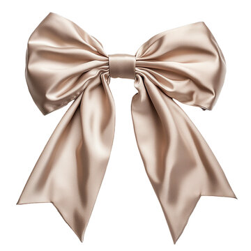 bow on transparent background