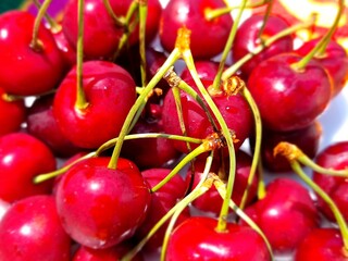 fresh ripe sweet cherries in summer
