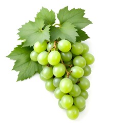 Obraz premium A bunch of green grapes with leaves on a white background