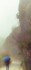 Fog and a woman with an umbrella. Vertical