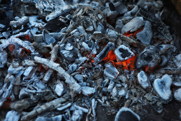 Ashes from wood in a burnt fire