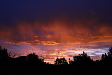 Summer landscape, lush green vegetation and nature.