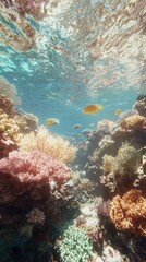 Vibrant underwater exploration tropical reef marine life coral ecosystem scenic view nature's beauty