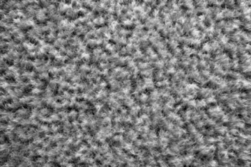 PNG Green grass texture background green nature lush.