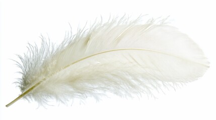 Fototapeta premium Single White Feather on White Background