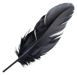 PNG Black feather background isolated white. © Rawpixel.com