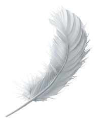 Obraz premium PNG Floating white feather minimalist simplicity texture.