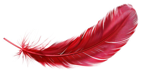 PNG Red feather isolated floating accessories.