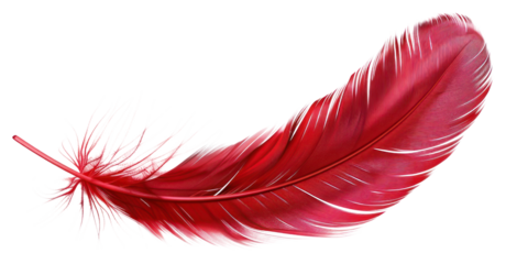 PNG Red feather isolated floating accessories.