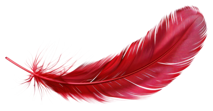 PNG Red feather isolated floating accessories.