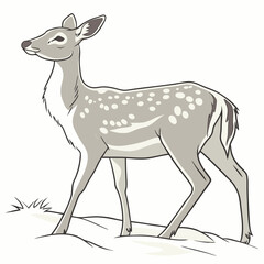 deer isolated on white