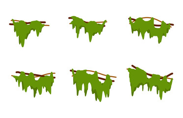 Liana jungle branch. Wild vine leaf, rainforest tree. Twisted foliage decorative. Tropical green wood. Exotic nature plant