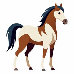 horse isolated on white