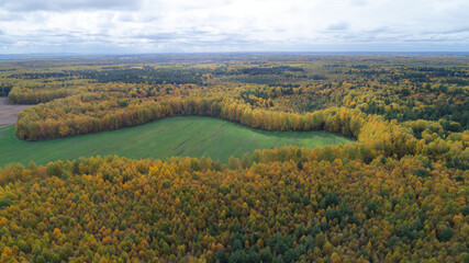 Obraz premium Large field of trees with a large green area in the middle