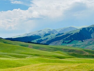 Fototapeta premium landscape with mountains and sky