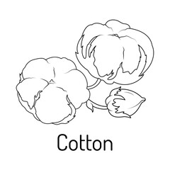 Vector illustration of a cotton plant with flowers and buds in a clean, black and white line art style. Perfect for botanical designs, textiles, eco-friendly themes, and educational purposes.