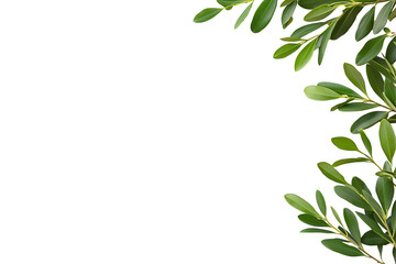 Naklejka premium A vibrant arrangement of green leaves, perfect for enhancing backgrounds or nature-themed designs. Ideal for projects needing a fresh, natural touch and a sense of tranquility.