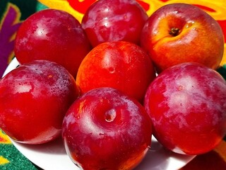 fresh plums on a plate
