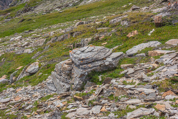 Vivid landscape with green grassy stony hillside with big stone with orange lichen close up. Beautiful sunlit steep slope with grasses and flowers among rocks. Colorful alpine flora in high mountains.