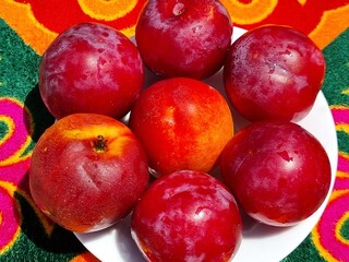 fresh red plums in a bowl 
