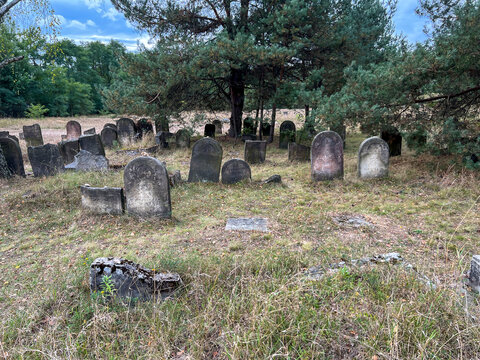 Old Jewish cemetery in Zarki, near Czestochowa in Poland