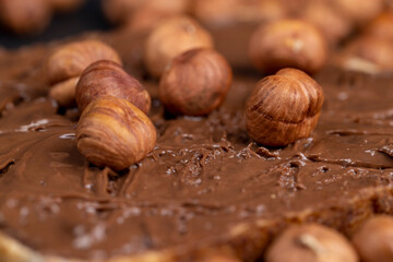 hazelnuts and bread with nut paste with chocolate
