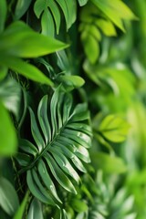 Obraz premium A detailed view of a cluster of green leaves