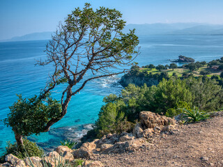 Sunlit Coastline and Lush Forest: Akamas National Forest Park, Cyprus