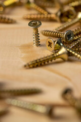yellow metal self  tapping screws for fixing wooden boards and other wood products