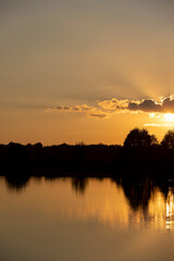 Naklejka premium beautiful orange sunset on the river in summer is reflected in the water