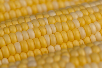 peeled corn cob with yellow and white seeds of different sizes and shades