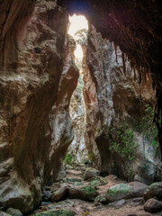 Exploring Avakas Gorge Canyon: A Natural Wonder of Cyprus