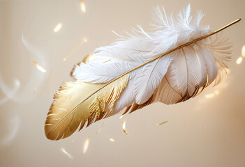 Isolated Fluffy Feather: Macro Detail, Ideal Design Element for Abstract Collage or Wall Decoration Projects, Soft and Gentle