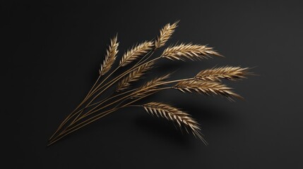 Golden wheat stalks arranged on dark background with elegant simplicity