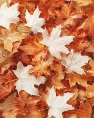 Fototapeta premium Autumn leaves falling nature documentary hyperrealistic close-up colorful environment seasonal change insights
