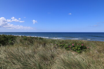 Blick auf die Küstenlandschaft bei Wenningstedt auf der Nordfriesischen Insel Sylt